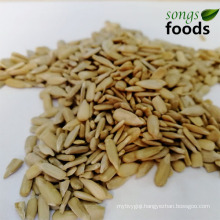 Chinese Raw Sunflower Seeds Kernels For Big Size